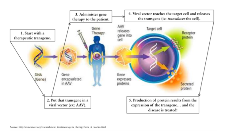 576d4f44122c2c8e7b2eadbd_download (3).png